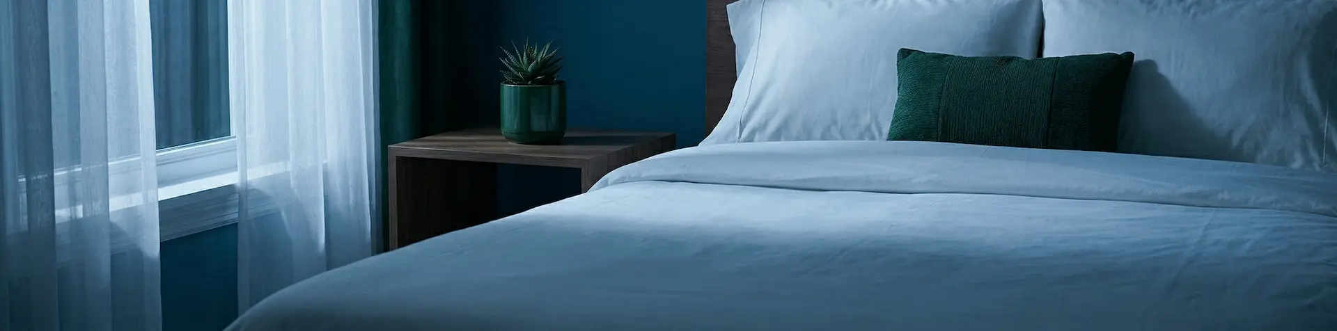 Fenêtre de nuit avec clair de lune — respiration et sommeil